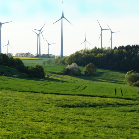 24 D HES VB VB DSC04550 2.jpg